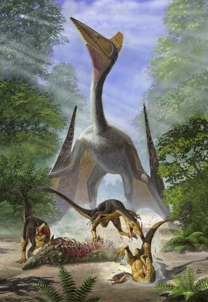 A group of Balaur bondoc dinosaurs fight for the corpse of a Struthiosaurus Canvas Art - Sergey KrasovskiyStocktrek Images (12 x 18)