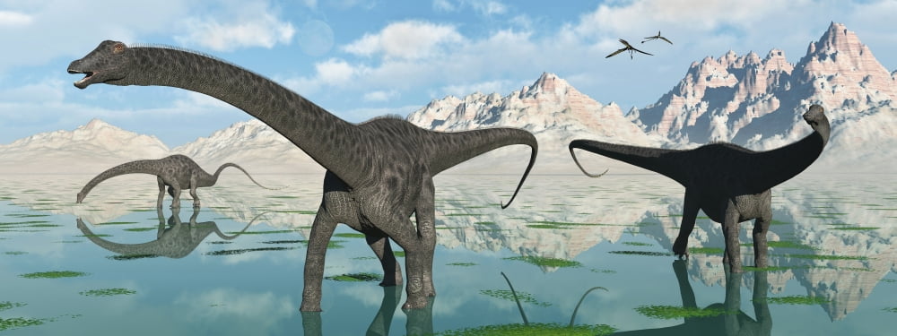 A group of Diplodocus dinosaurs grazing a freshwater lake Canvas Art - Mark StevensonStocktrek Images (23 x 9)