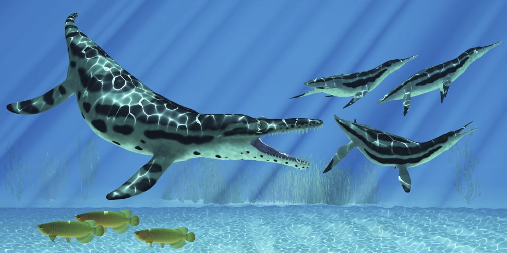 A group of Dolichorhynchops try to escape from a huge Kronosaurus Canvas Art - Corey FordStocktrek Images (20 x 10)