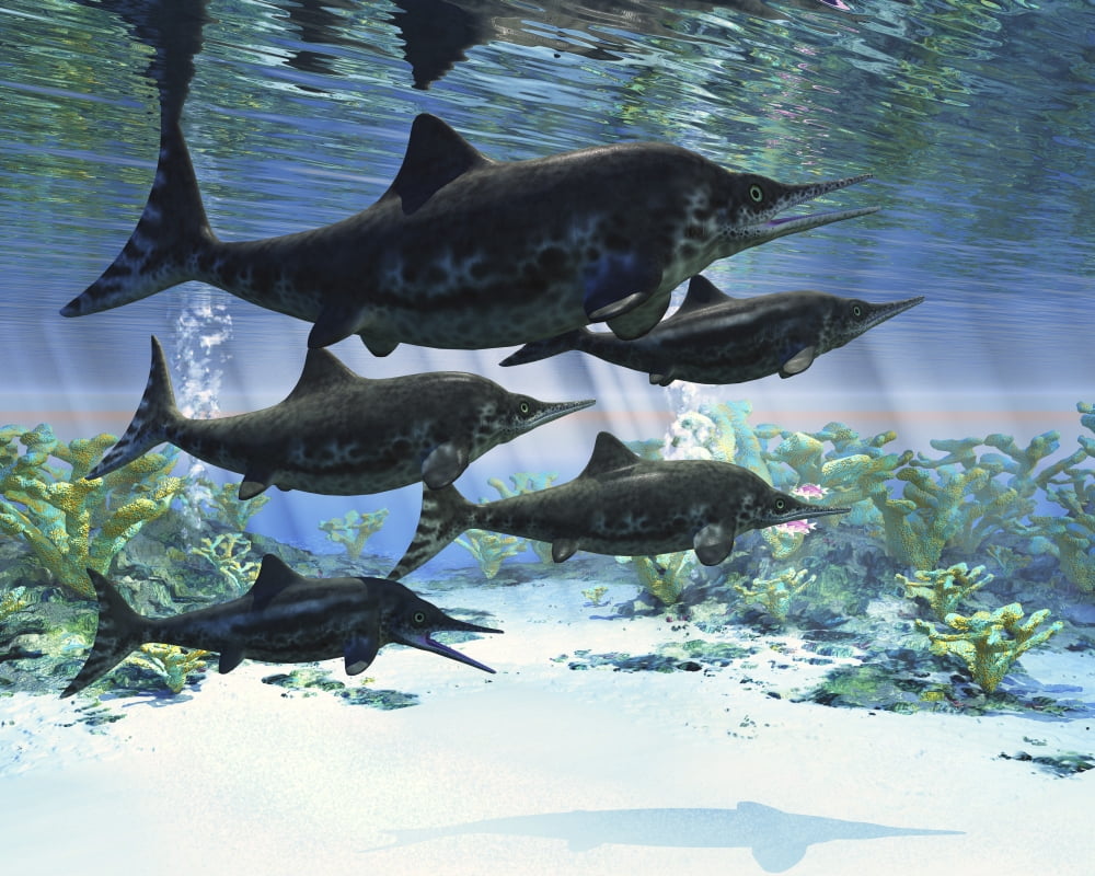 A group of Ichthyosaurs swimming in prehistoric waters Canvas Art - Corey FordStocktrek Images (16 x 13)