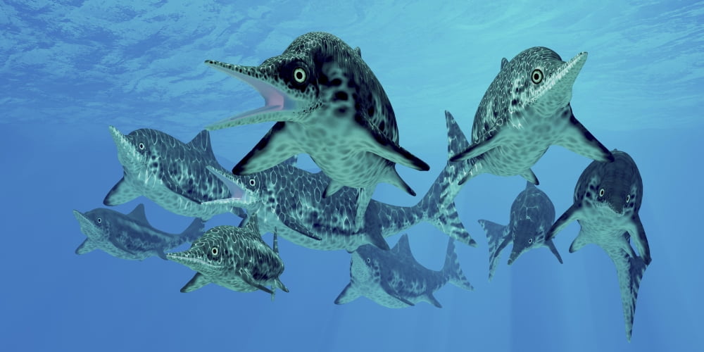 A group of Ichthyosaurs swimming in prehistoric waters Canvas Art - Corey FordStocktrek Images (20 x 10)