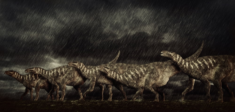 A group of Iguanodons struggle through a storm Canvas Art - Philip BrownlowStocktrek Images (21 x 10)