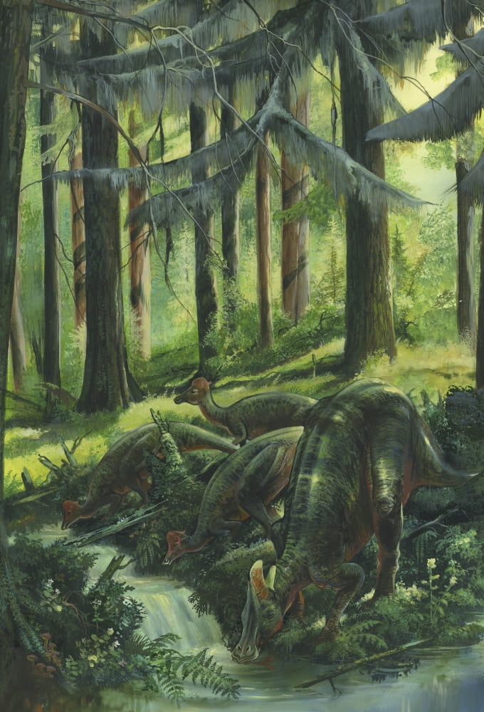 A group of Lambeosaurus drinking from a stream Canvas Art - Jan SovakStocktrek Images (12 x 17)