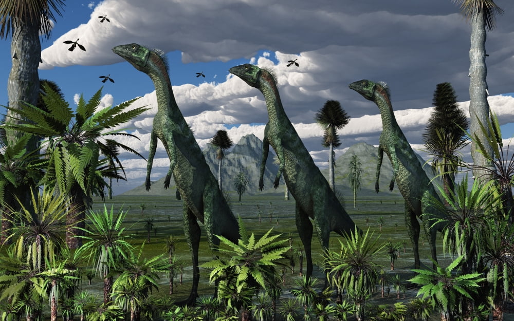 A group of Lesothosaurus dinosaurs on the lookout for predators Canvas Art - Mark StevensonStocktrek Images (36 x 23)
