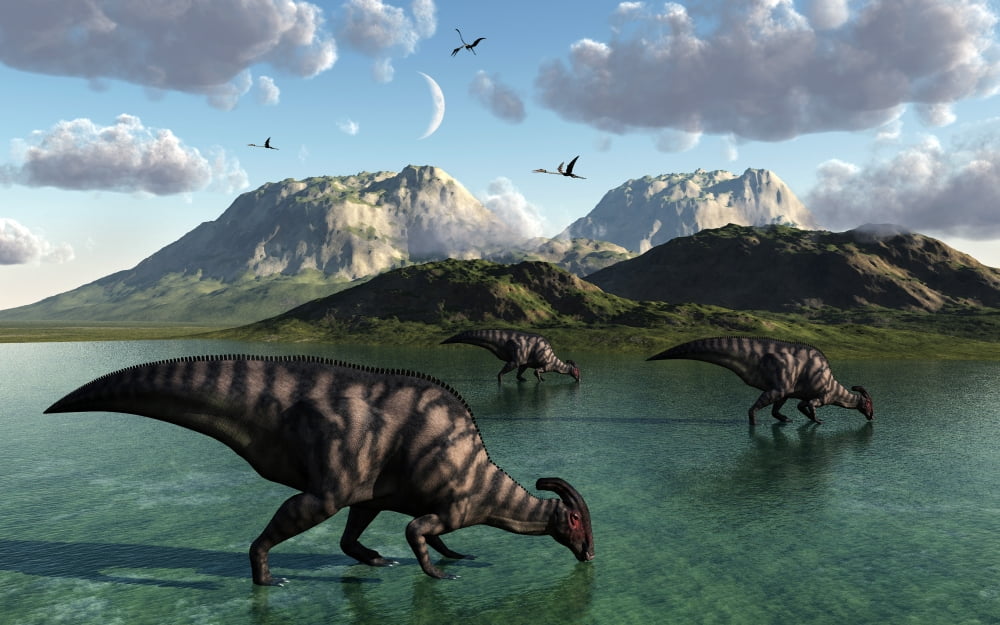 A group of Parasaurolophus dinosaurs feed from a freshwater lake Canvas Art - Mark StevensonStocktrek Images (18 x 12)