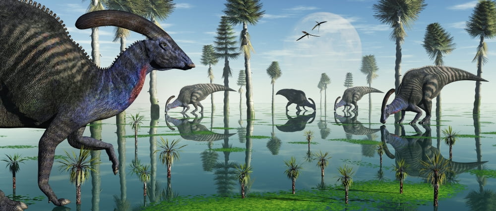 A group of Parasaurolophus duckbill dinosaurs feed from a lake Canvas Art - Mark StevensonStocktrek Images (22 x 10)