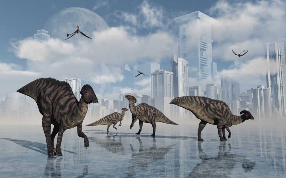 A group of Parasaurolophus duckbill dinosaurs gather at a feeding ground Canvas Art - Mark StevensonStocktrek Images (18 x 12)