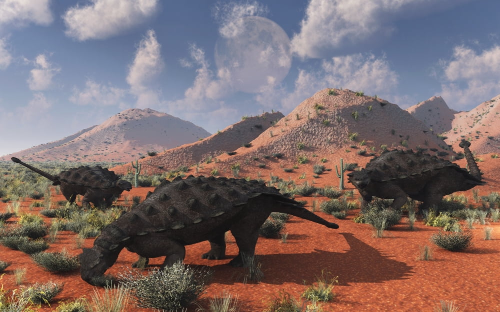 A group of Pinacosaurus dinosaurs grazing Canvas Art - Mark StevensonStocktrek Images (36 x 23)