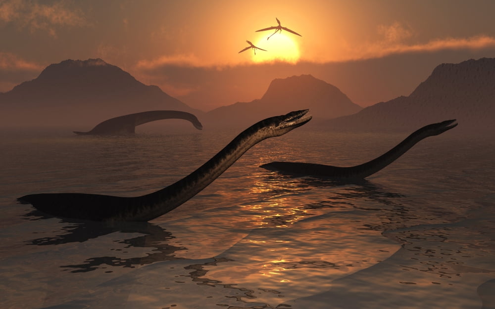 A group of Plesiosaurs during Earths Jurassic Era Canvas Art - Mark StevensonStocktrek Images (36 x 23)