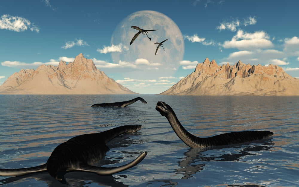 A group of Plesiosaurs relaxing on a Jurassic Day Canvas Art - Mark StevensonStocktrek Images (18 x 12)