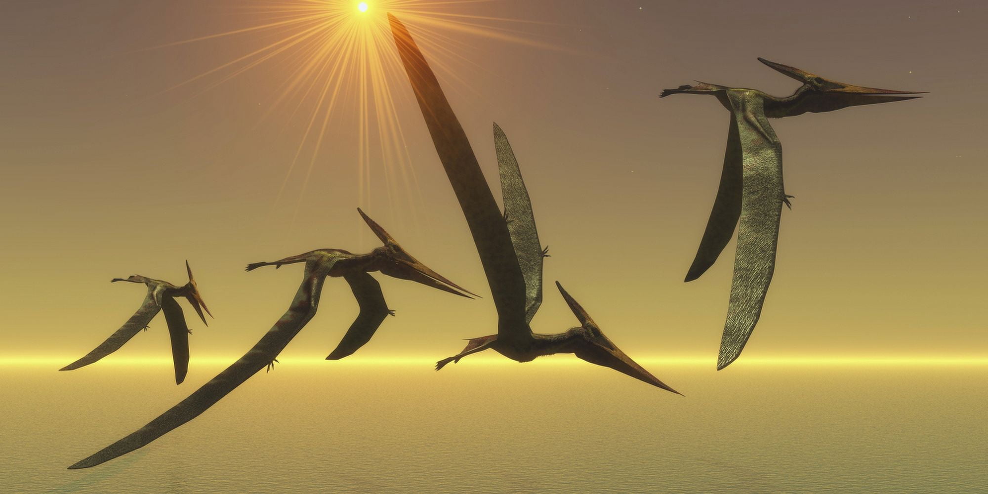 A group of Pteranodons take flight on a clear sunny day Canvas Art - Corey FordStocktrek Images (20 x 10)