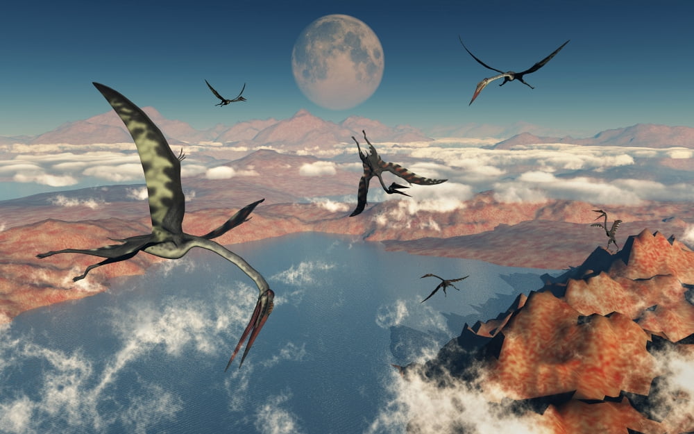 A group of Quetzalcoatlus pterosaurs Canvas Art - Mark StevensonStocktrek Images (18 x 12)