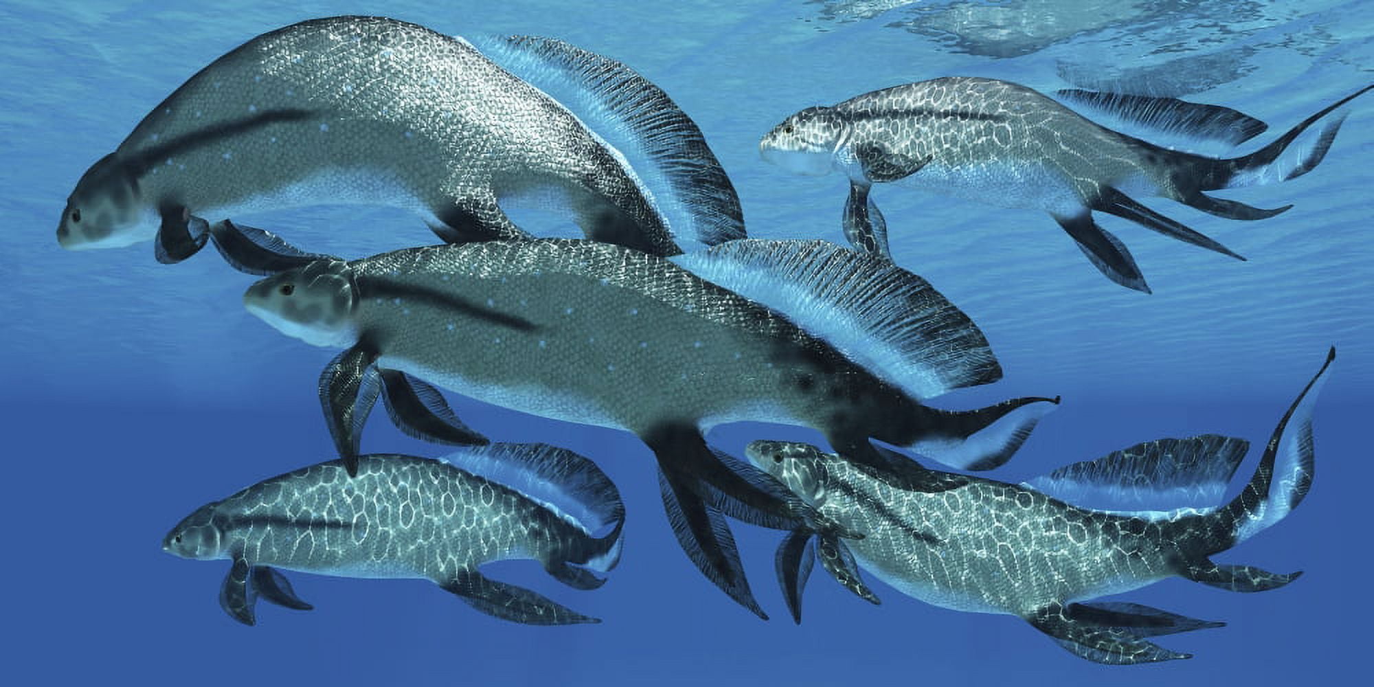 A group of Scaumenacia lobe-finned fish from the Devonian period Canvas Art - Corey FordStocktrek Images (20 x 10)
