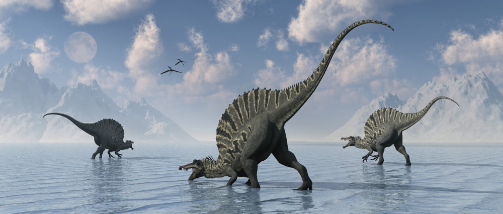 A group of Spinosaurus dinosaurs spending the day fishing Canvas Art - Mark StevensonStocktrek Images (22 x 10)