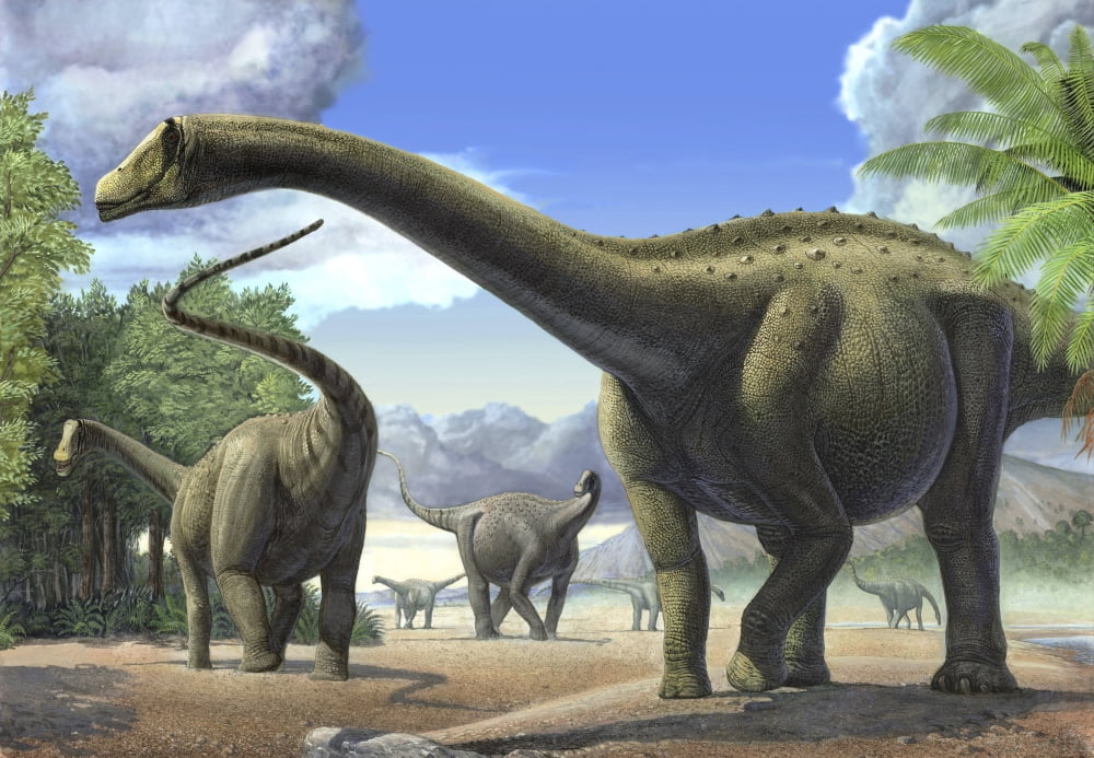 A group of Tapuiasaurus macedoi dinosaurs Canvas Art - Sergey KrasovskiyStocktrek Images (17 x 12)