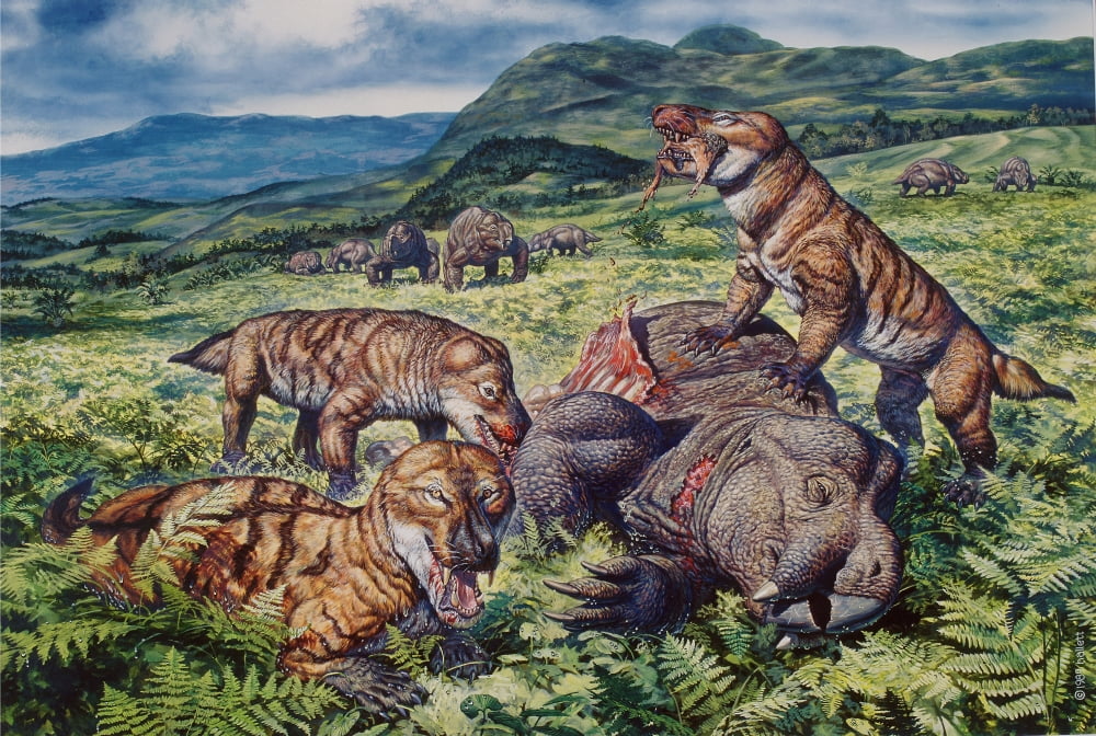 A group of carnivorous Cynognathus prey on a Placerias dicynodont Canvas Art - Mark HallettStocktrek Images (17 x 12)