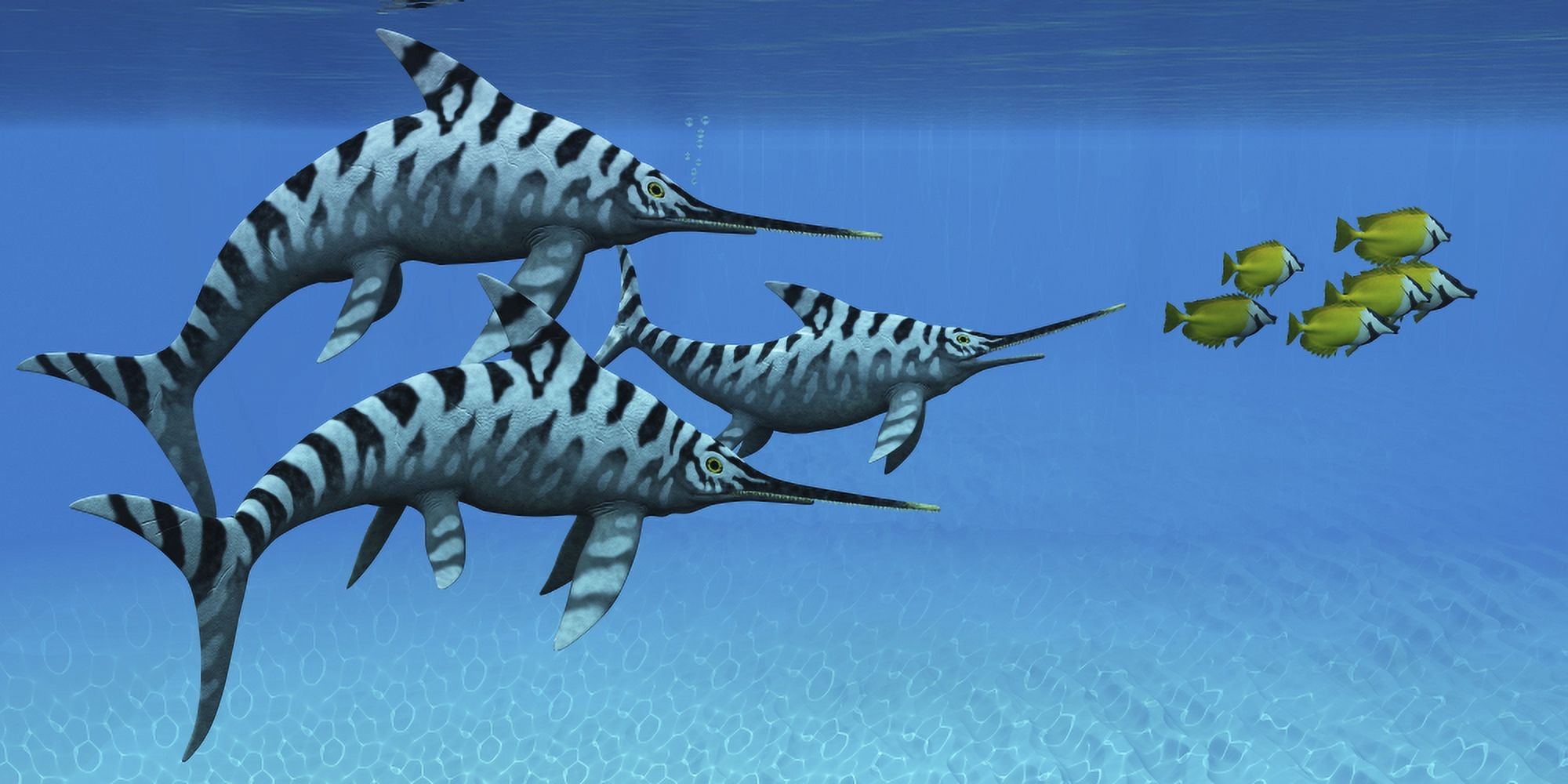 A group of fast swimming Eurhinosaurus marine reptiles Canvas Art - Corey FordStocktrek Images (20 x 10)