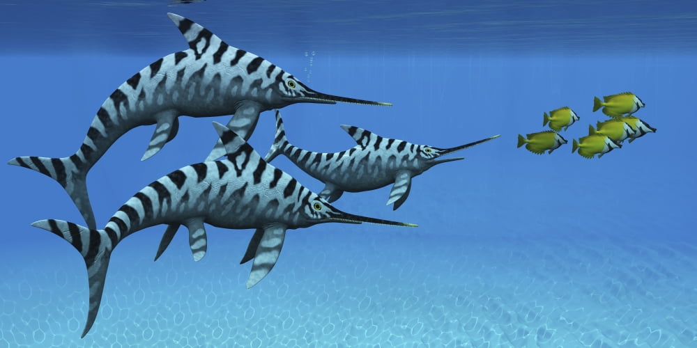 A group of fast swimming Eurhinosaurus marine reptiles Canvas Art - Corey FordStocktrek Images (40 x 20)