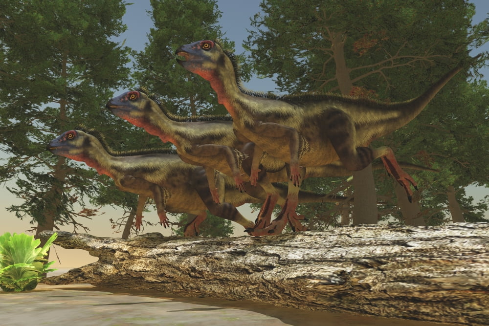 A group of herbivorous Hypsilophodon dinosaurs Canvas Art - Corey FordStocktrek Images (35 x 23)