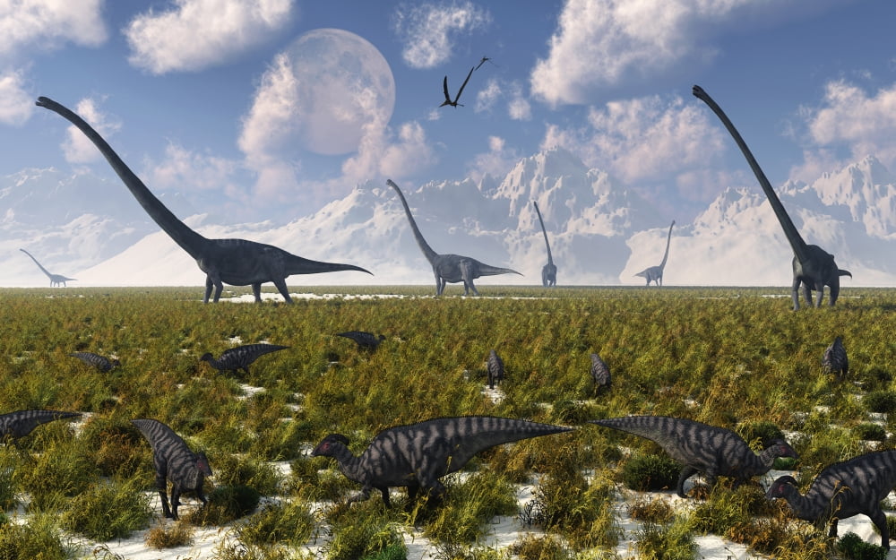 A group of sauropod and hadrosaur dinosaur herds grazing Canvas Art - Mark StevensonStocktrek Images (18 x 12)
