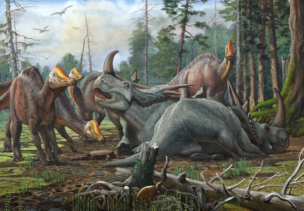 A group of young Hypacrosaurus approach a couple Rubeosaurus relaxing in the woods Canvas Art - Sergey KrasovskiyStocktrek Images (17 x 12)
