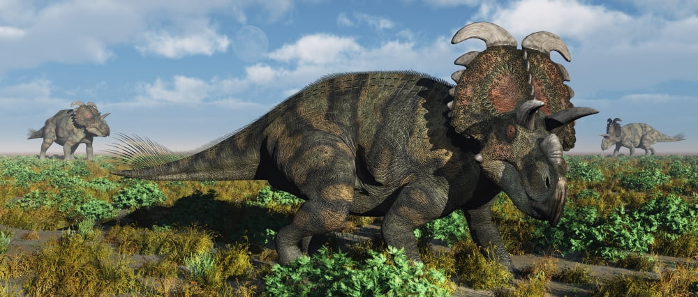 A herd of Albertaceratops from the Cretaceous Period Canvas Art - Mark StevensonStocktrek Images (44 x 19)