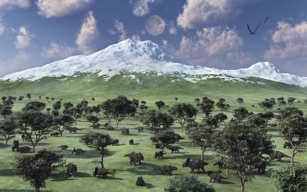 A herd of Albertaceratops grazing Canvas Art - Mark StevensonStocktrek Images (36 x 23)
