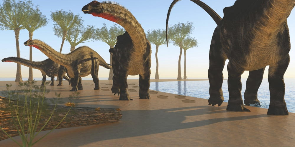 A herd of Apatosaurus dinosaurs Canvas Art - Corey FordStocktrek Images (40 x 20)