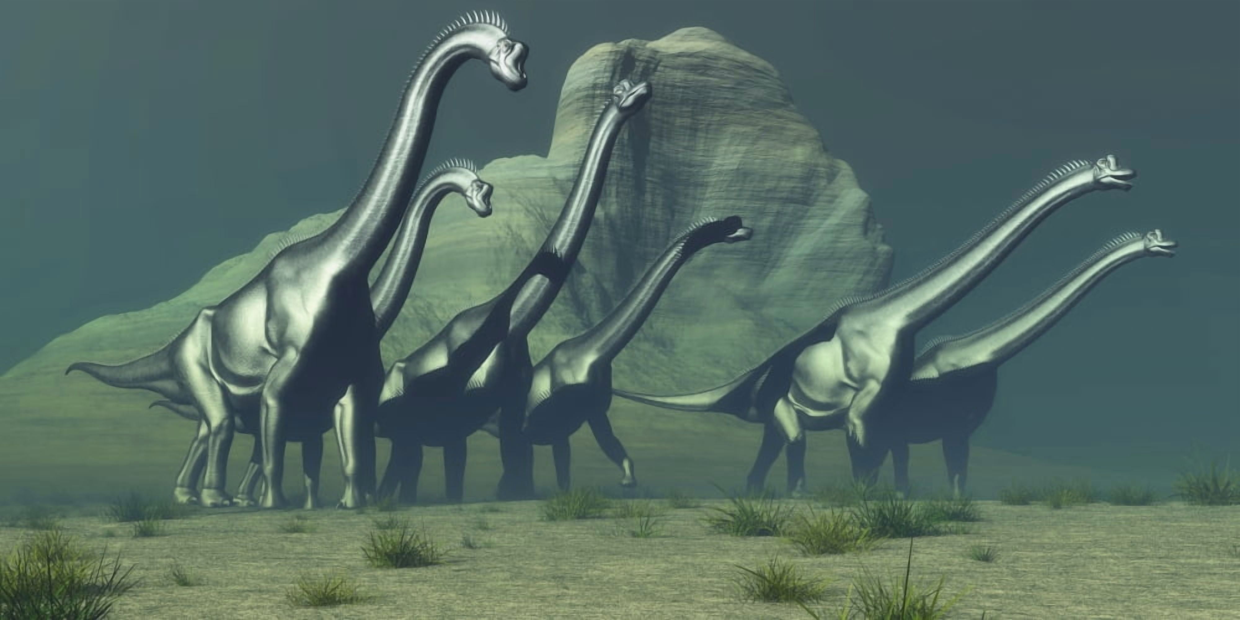 A herd of Brachiosaurus dinosaurs pass a high bluff Canvas Art - Corey FordStocktrek Images (20 x 10)