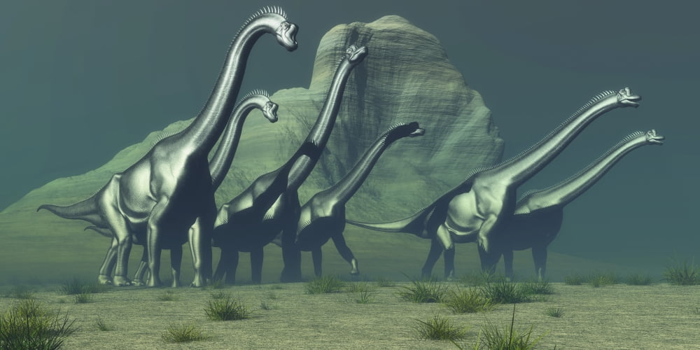 A herd of Brachiosaurus dinosaurs pass a high bluff Canvas Art - Corey FordStocktrek Images (40 x 20)