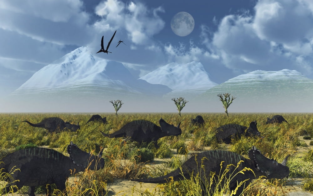 A herd of Centrosaurus dinosaurs on the move Canvas Art - Mark StevensonStocktrek Images (36 x 23)