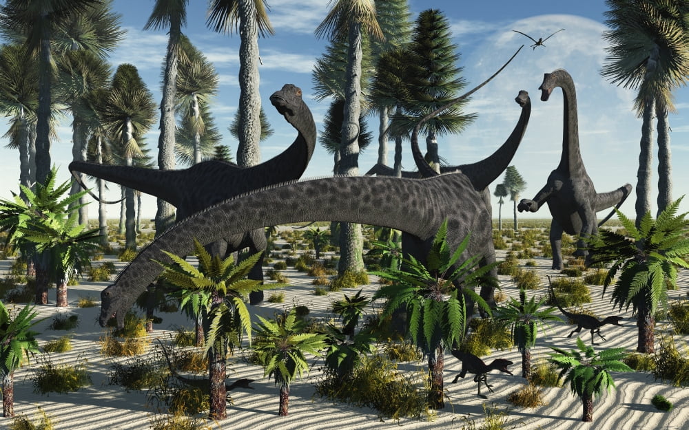 A herd of Diplodocus dinosaurs feeding on plants Canvas Art - Mark StevensonStocktrek Images (18 x 12)