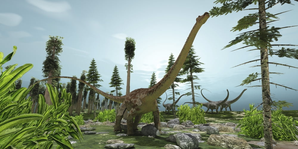 A herd of Diplodocus dinosaurs graze on trees Canvas Art - Corey FordStocktrek Images (40 x 20)