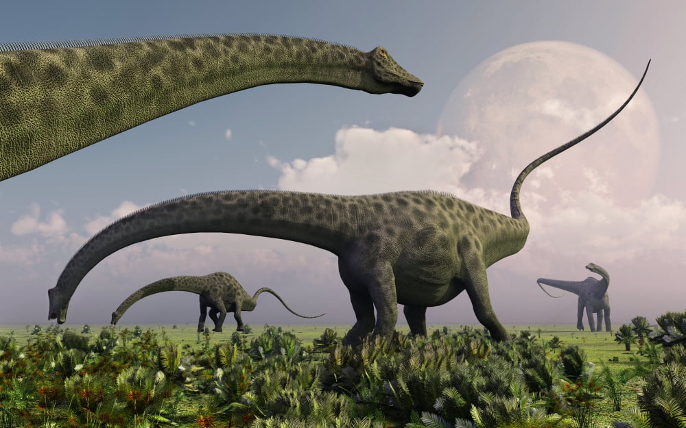 A herd of Diplodocus sauropod dinosaurs grazing Canvas Art - Mark StevensonStocktrek Images (18 x 12)