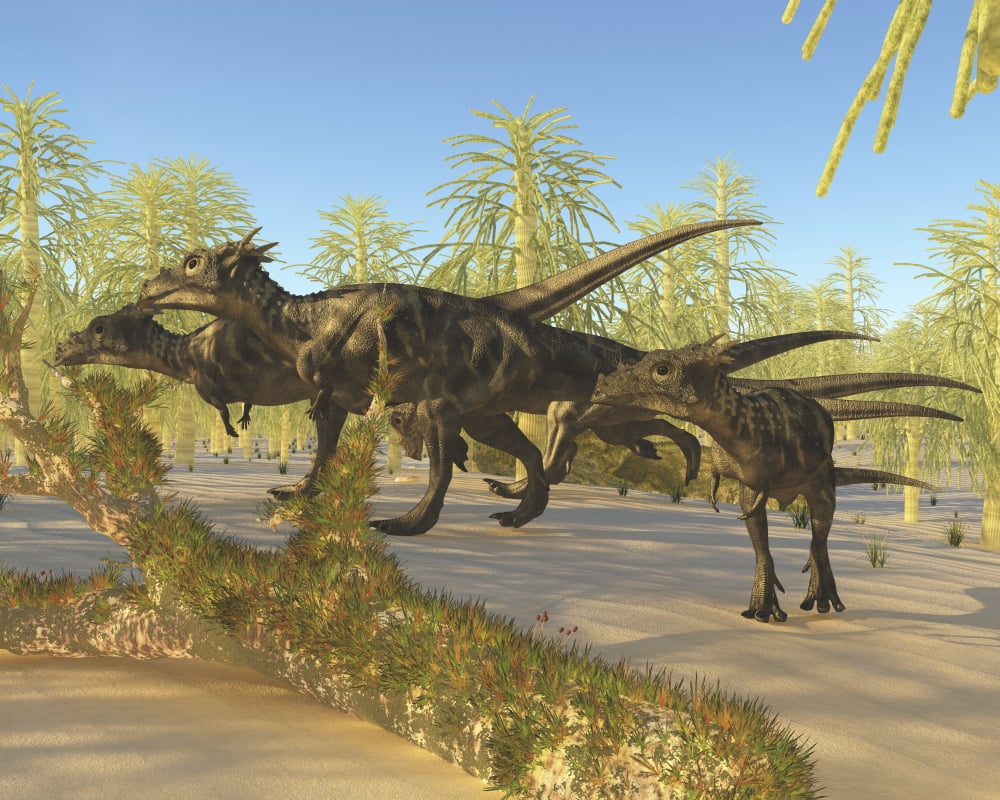 A herd of Dracorex dinosaurs walk through a carboniferous forest Canvas Art - Corey FordStocktrek Images (32 x 26)