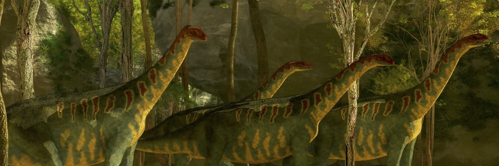 A herd of Jobaria dinosaurs pass through a heavily wooded forest Canvas Art - Corey FordStocktrek Images (48 x 16)