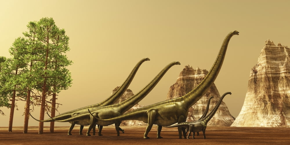 A herd of Mamenchisaurus dinosaurs migrate to better feeding ground Canvas Art - Corey FordStocktrek Images (20 x 10)