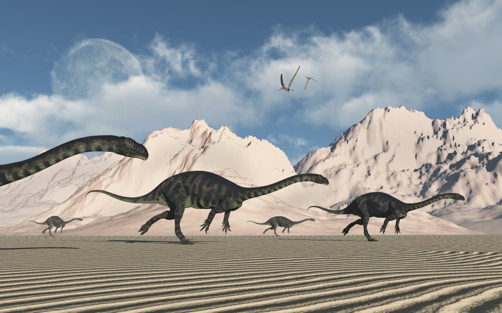 A herd of Massospondylus dinosaurs crossing a desert Canvas Art - Mark StevensonStocktrek Images (18 x 12)