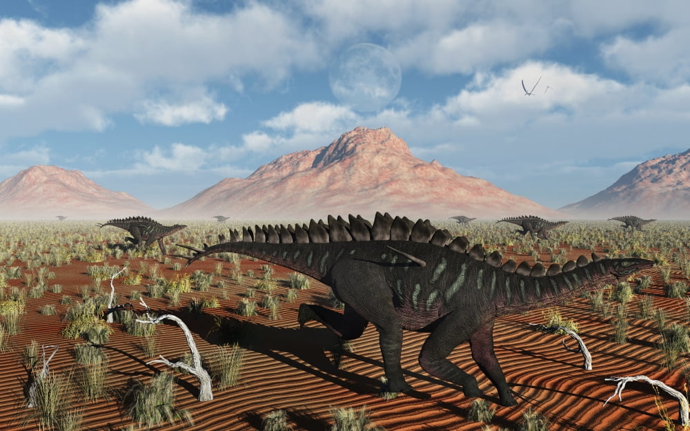 A herd of Miragaia dinosaurs migrating Canvas Art - Mark StevensonStocktrek Images (18 x 12)