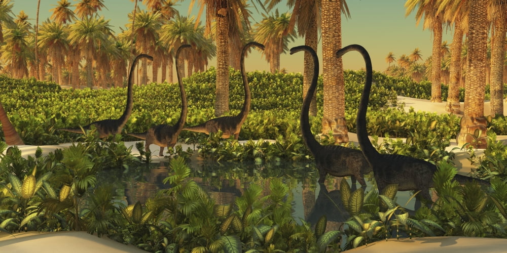 A herd of Omeisaurus dinosaurs at a watering hole Canvas Art - Corey FordStocktrek Images (40 x 20)