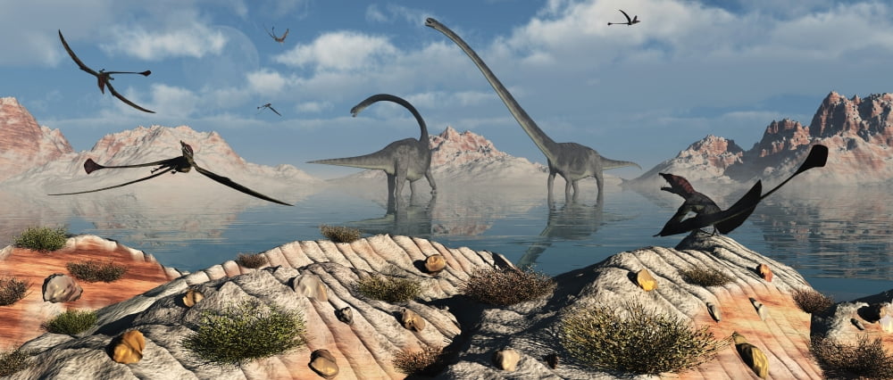 A herd of Omeisaurus dinosaurs feeding from a freshwater lake Canvas Art - Mark StevensonStocktrek Images (44 x 19)
