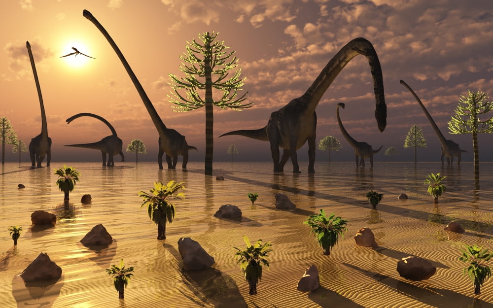 A herd of Omeisaurus dinosaurs grazing Canvas Art - Mark StevensonStocktrek Images (18 x 12)