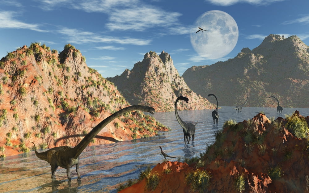 A herd of Omeisaurus dinosaurs in a prehistoric lake Canvas Art - Mark StevensonStocktrek Images (18 x 12)