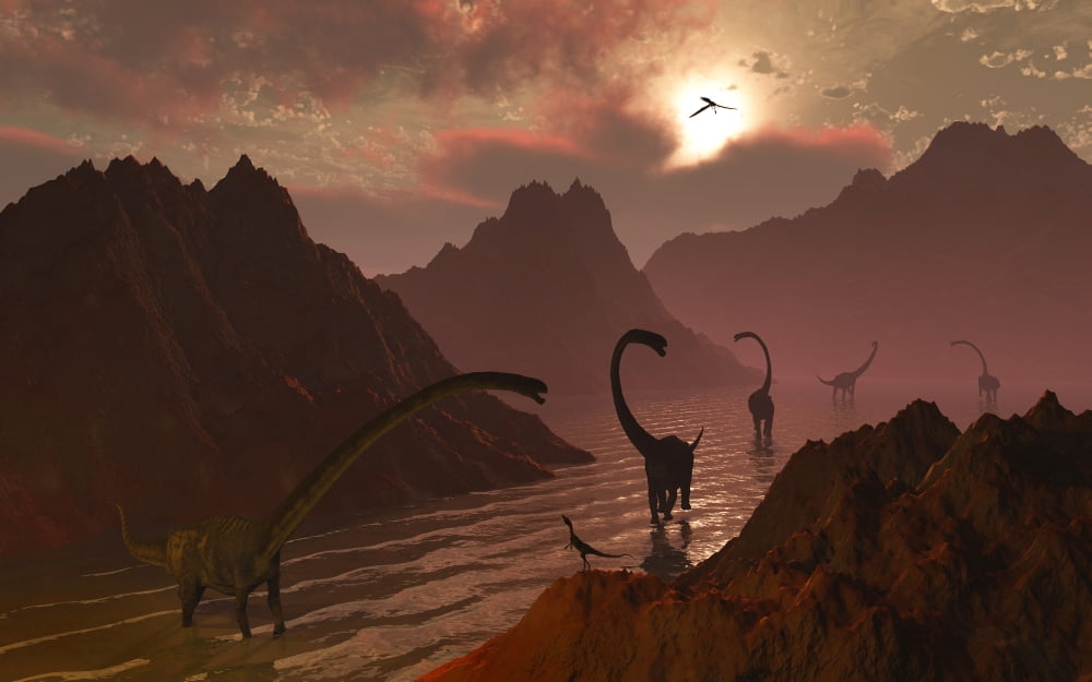 A herd of Omeisaurus dinosaurs in a prehistoric lake Canvas Art - Mark StevensonStocktrek Images (18 x 12)