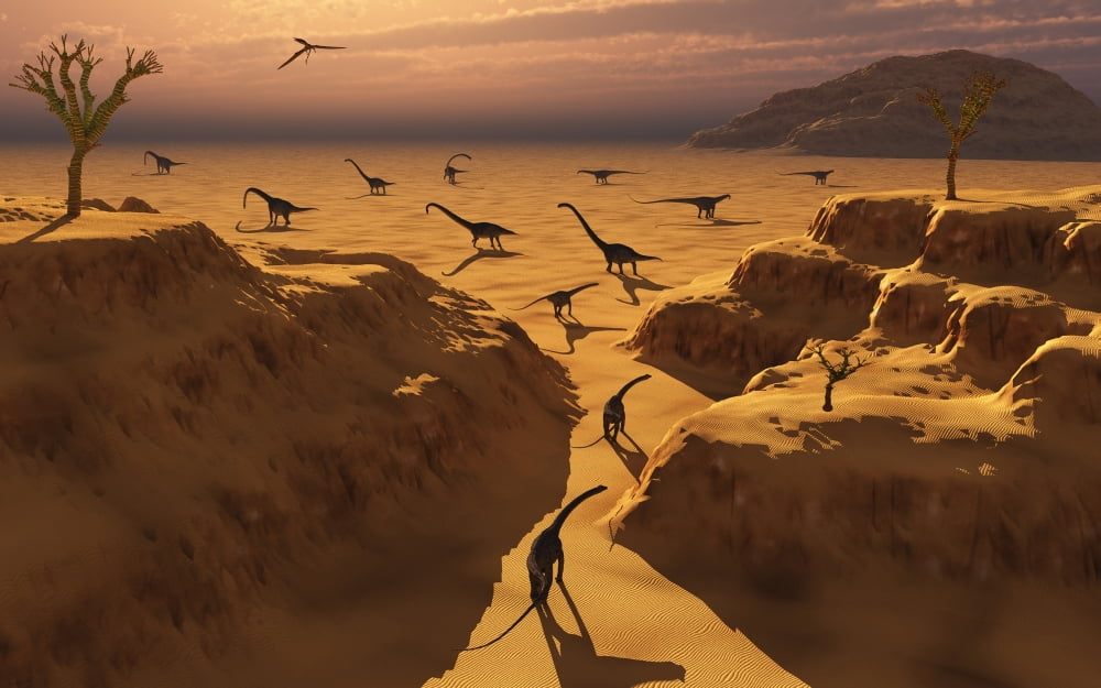 A herd of Omeisaurus dinosaurs migrate to greener pastures Canvas Art - Mark StevensonStocktrek Images (18 x 12)
