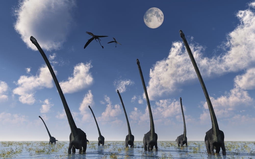 A herd of Omeisaurus dinosaurs on the move Canvas Art - Mark StevensonStocktrek Images (18 x 12)