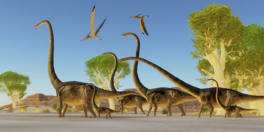 A herd of Omeisaurus dinosaurs traveling through a Jurassic forest Canvas Art - Corey FordStocktrek Images (40 x 20)