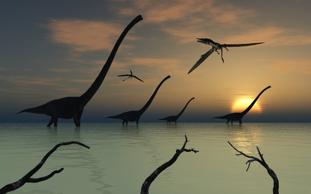 A herd of Omeisaurus dinosaurs walking through shallow waters Canvas Art - Mark StevensonStocktrek Images (36 x 23)