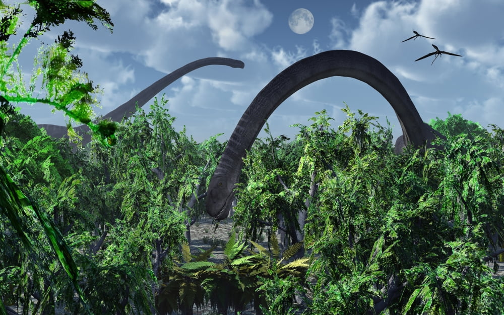 A herd of Omeisaurus sauropod dinosaurs grazing Canvas Art - Mark StevensonStocktrek Images (18 x 12)