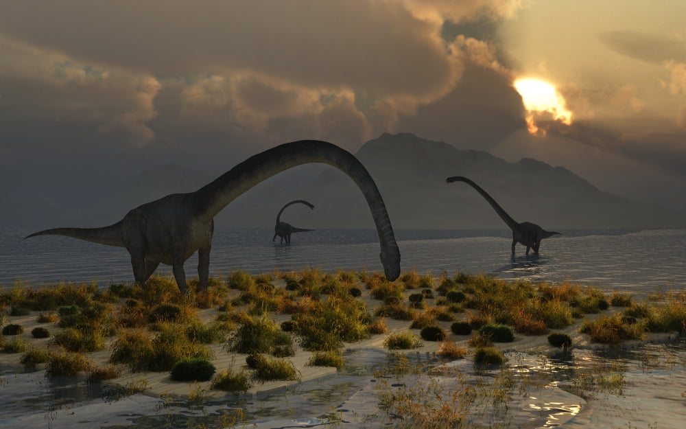 A herd of Omeisaurus sauropod dinosaurs grazing Canvas Art - Mark StevensonStocktrek Images (18 x 12)